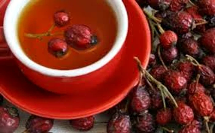 
    Măceșele  alungă stresul și tratează o sută de boli Sursa foto: Adevărul.ro  