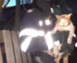 Salvarea spectaculoasă a unei pisici dintr-o fântână la Nicolae Bălcescu - Vâlcea - în imagine felina şi salvatorul ei Foto Adevărul
