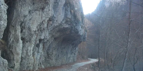 cheile oltetului