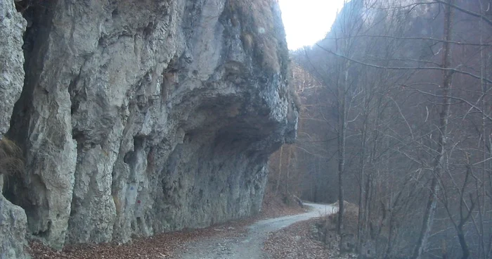 Cheile Olteţului este o zonă foarte vizitată de turişti