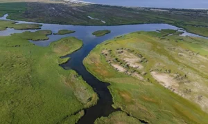 NDQwJmhhc2g9ZDA4MjMzNGRlODE0ZWYyOGQ4MzIwOGU2YzIxZmIxMTA= thumb jpg