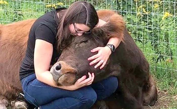 
    Maggie, o orășeancă stresată, consolată de Bonnie  