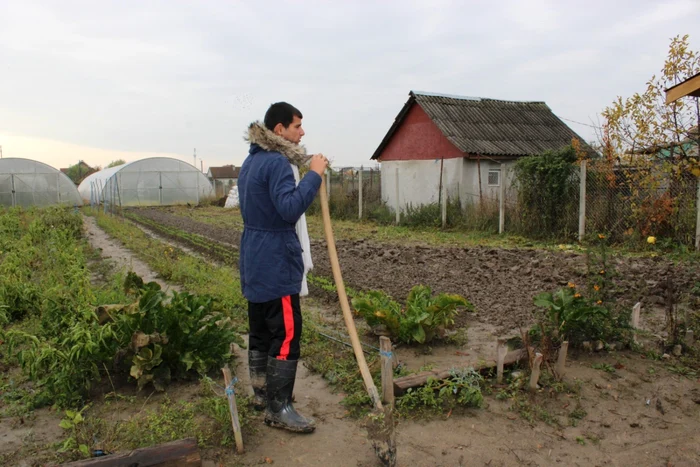 David munceşte la o seră a asociaţiei pe care o frecventează,fiind inclus într-un program de terapie - foto: Adrian Caraba