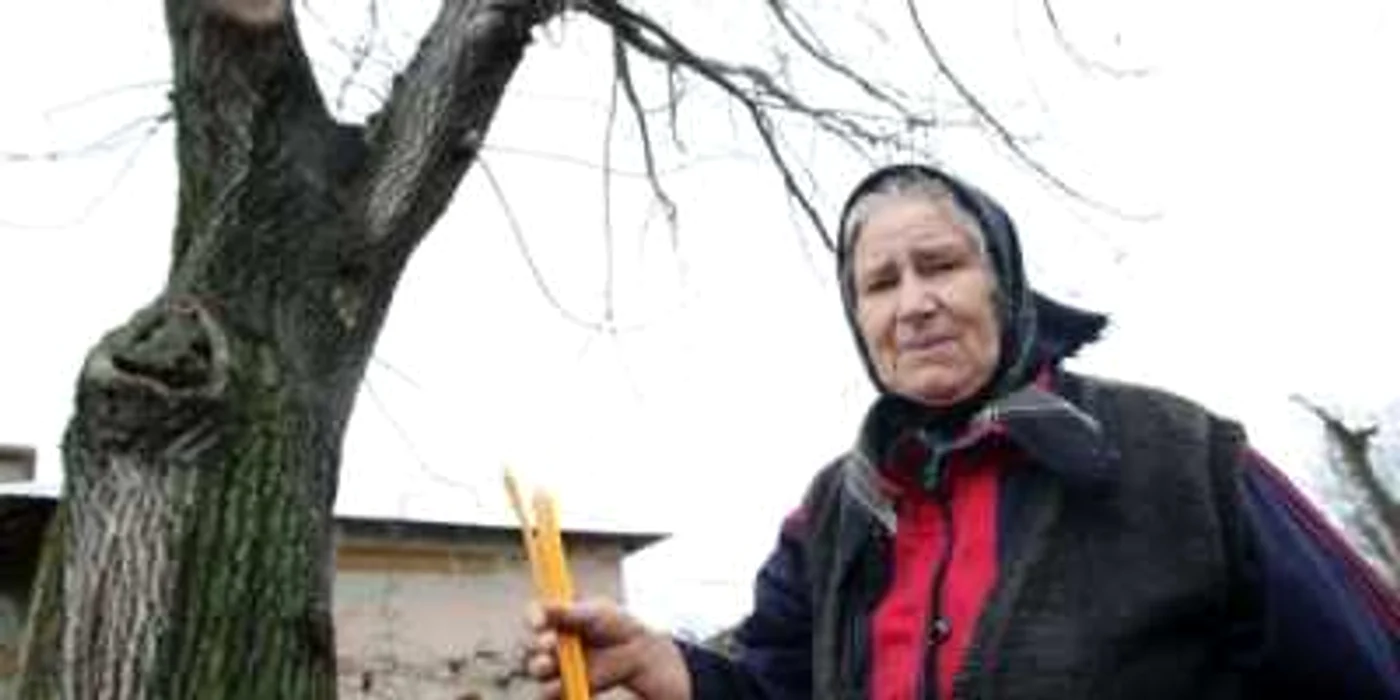 Sătenii vin să pună lumânări la baza pomului unde a apărut chipul Mântuitorului