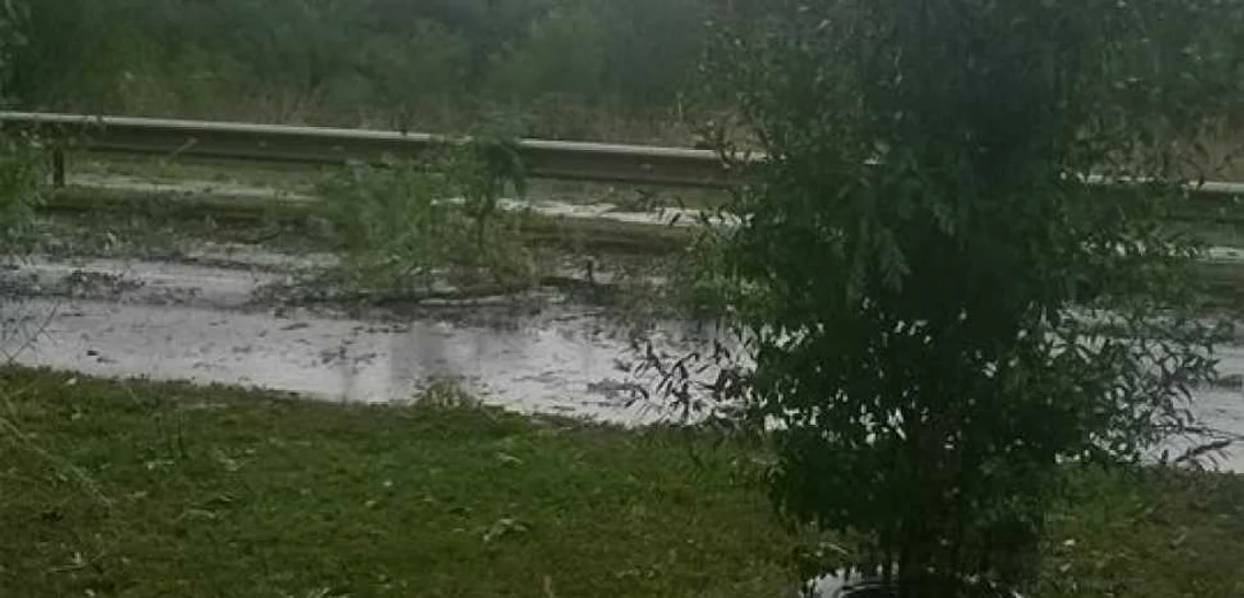 furtuna arad 