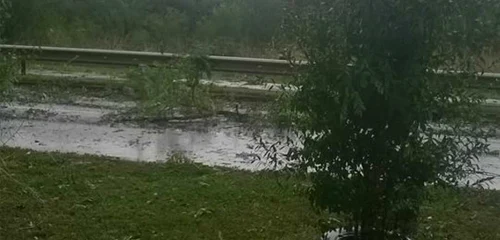 furtuna arad