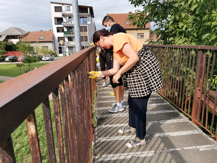 Podul pietonal de la Uzina de Apă este înfruseţat de voluntari FOTO Ş.Both