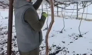 Solarii afectate de zapada la Glodeanu Sarat, februarie 2026 mp4 thumbnail png