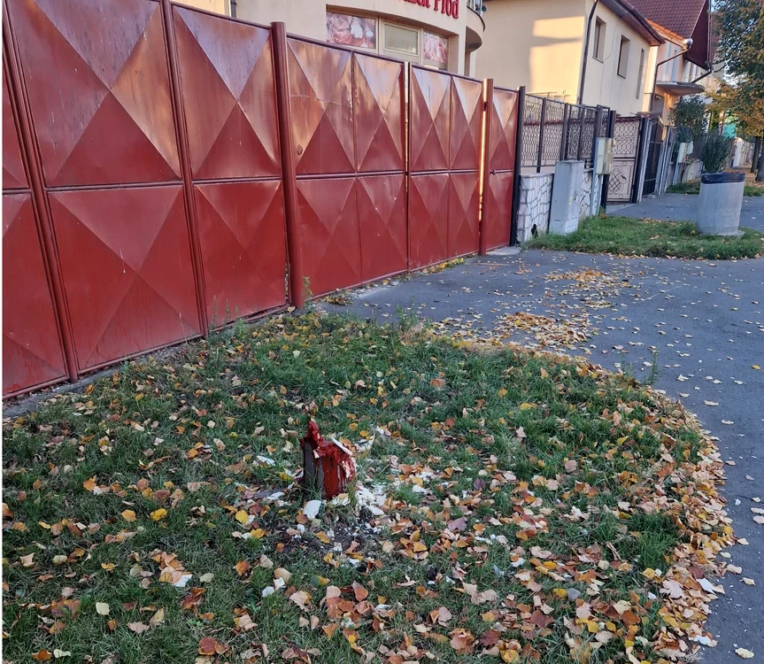 Ciotul rămas după ce un sibian a tăiat teiul din fața casei de pe spațiul verde Foto Turnul Sfatului