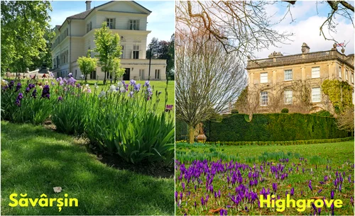 Săvârșin vs Highgrove