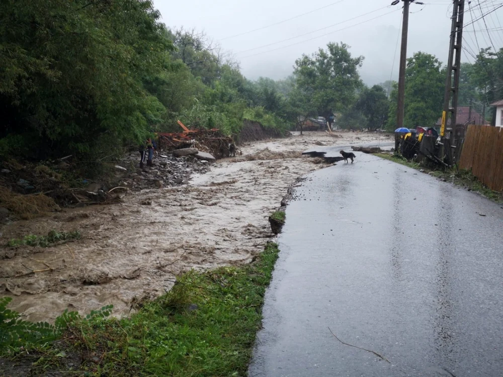 inundatii bacau