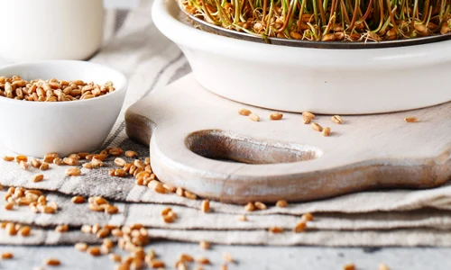 1 grau incoltit jpg jpeg