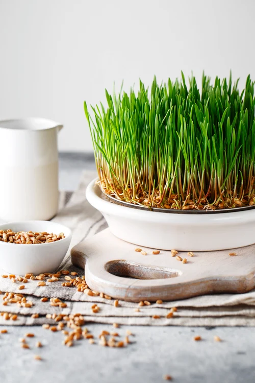 Este o tradiție populară veche de milenii