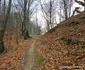 Drumul spre cetatea dacică Blidaru Foto Daniel Guță ADEVĂRUL (3) jpg