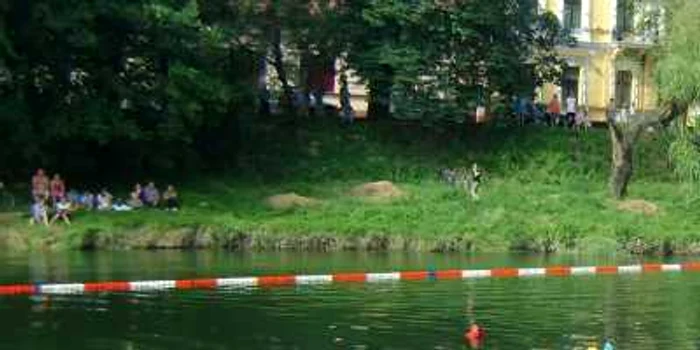 Imagine de la prima ediţie a întrecerii răţuştelor la Oradea