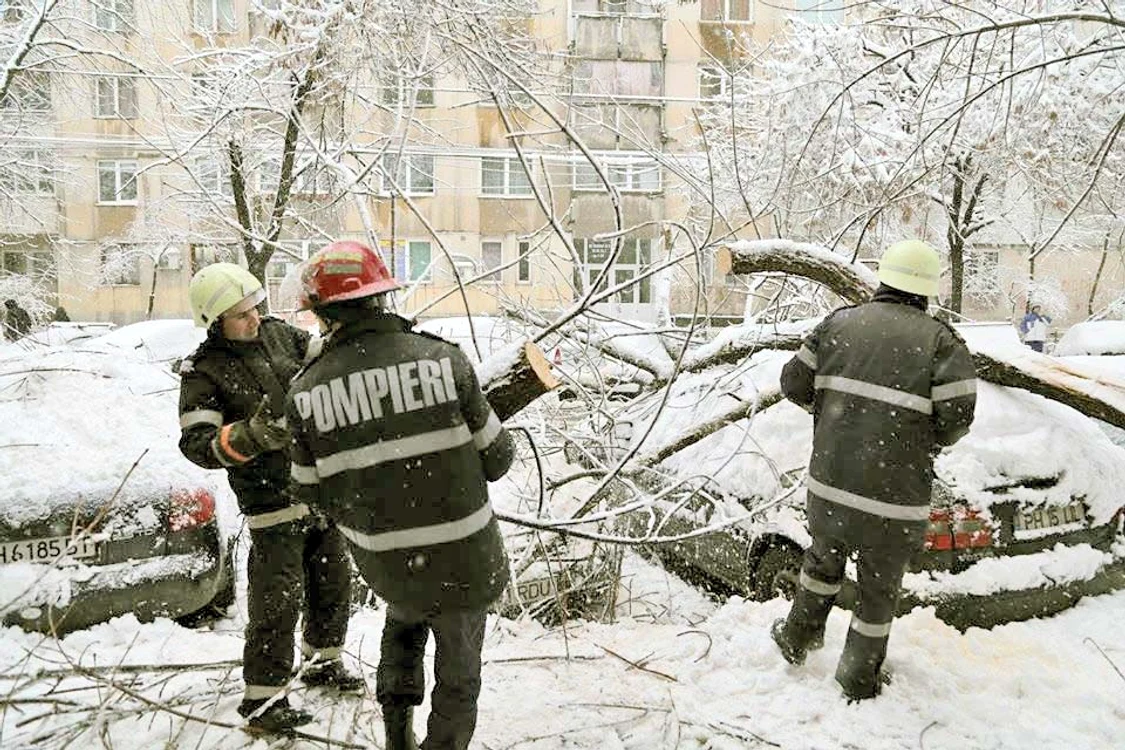 Nu mai puţin de 191 de arbori au fost doborâţi de viscol în Capitală