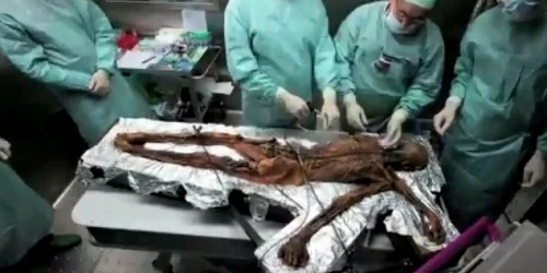 Otzi, celebrul om al ghețurilor 