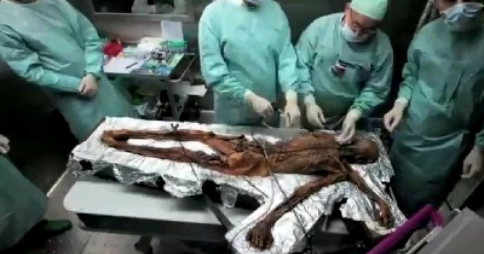 Otzi, celebrul om al ghețurilor