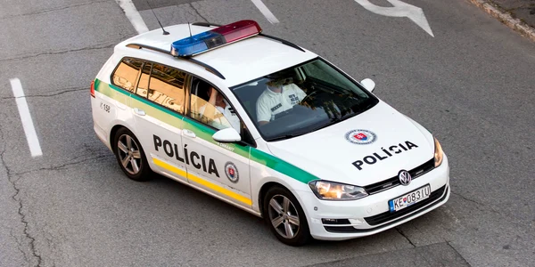Politia din Slovacia FOTO Shutterstock jpg