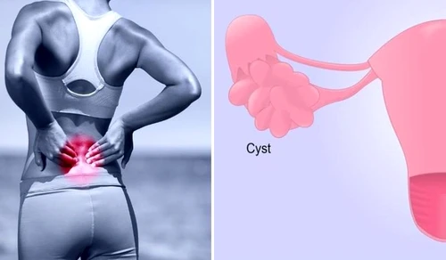 1 81293 original jpg jpeg