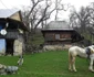 turism ecvestru alba