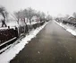 Poiana Răchițelii, iarna Foto Daniel Guță (12) jpg