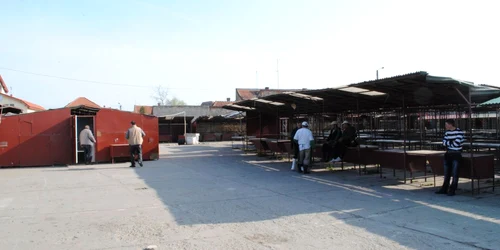 Mieii au lispit cu desăvârşire din piaţă