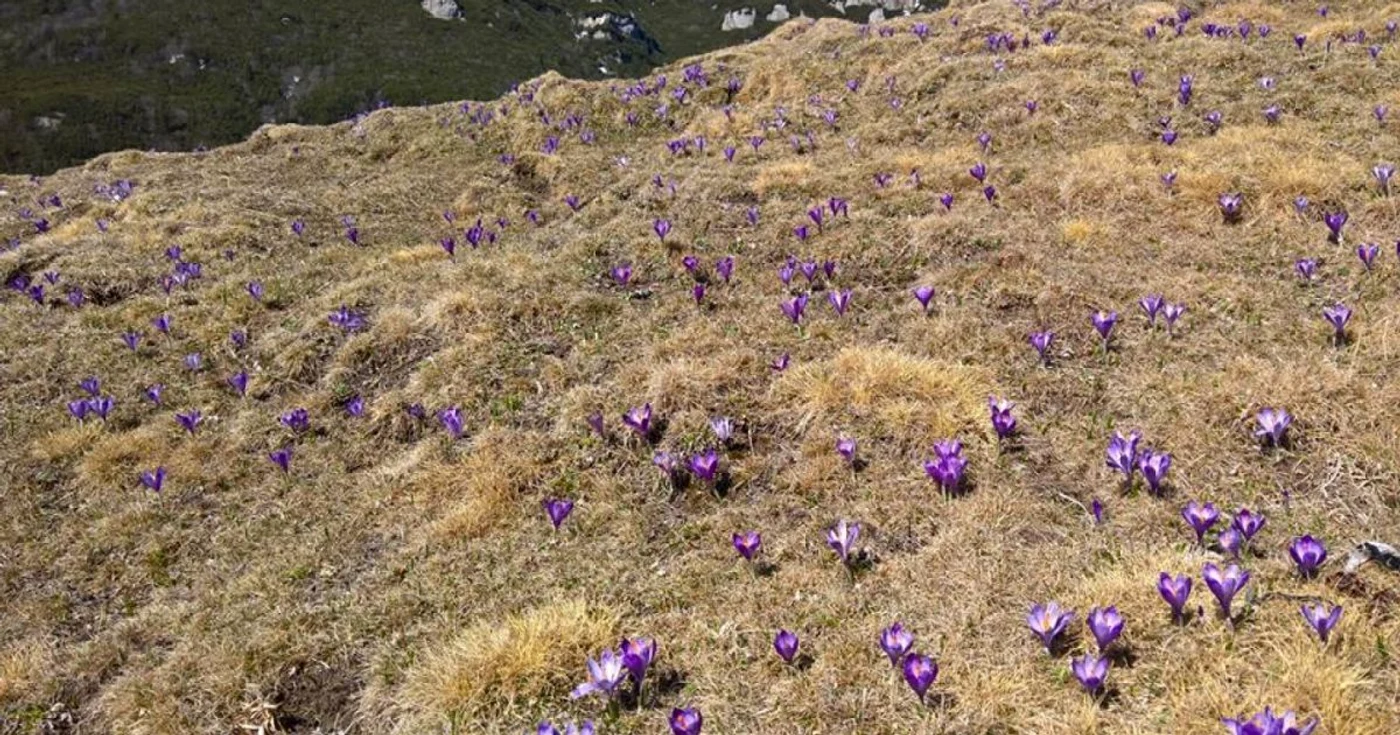 Muntii Bucegi
