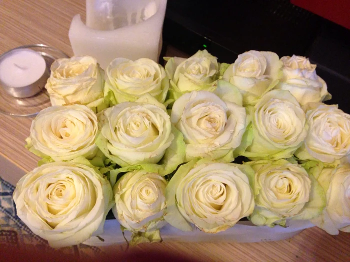 Florile primite de Gabriela Cristea