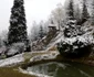 Mănăstirea Prislop locul de veci al lui Arsenie Boca Foto Daniel Guță ADEVĂRUL (31) JPG