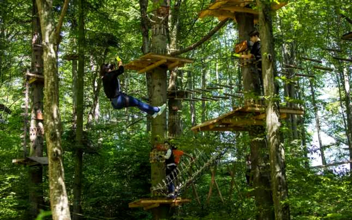 Oamenii se caţără printre copaci la Parc Aventura Braşov