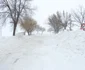 Botosani