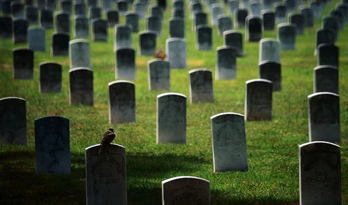 921 610x360 jpg jpeg