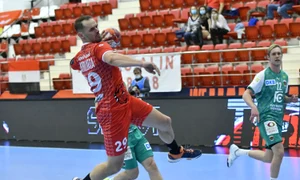 dinamo fuchse gavriloaia rps0826 jpeg