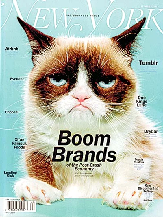 Fotografii: guliver/ gettyimages / splashnews / photoland / wenn