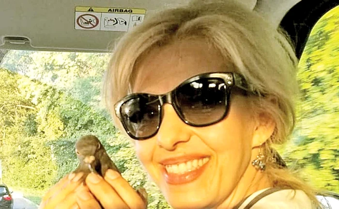 Actrița a ajutat porumbelul să zboare din nou