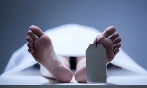 moarte  sursa foto   Shutterstock jpg