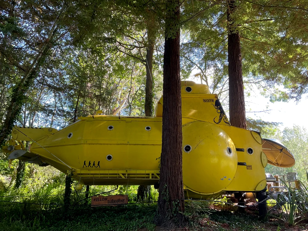 Submarinul se află într-o pădure (Foto: Profimedia)