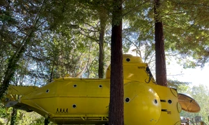 submarin galben profimedia (2) jpg