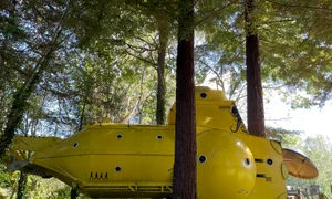 submarin galben profimedia (2) jpg