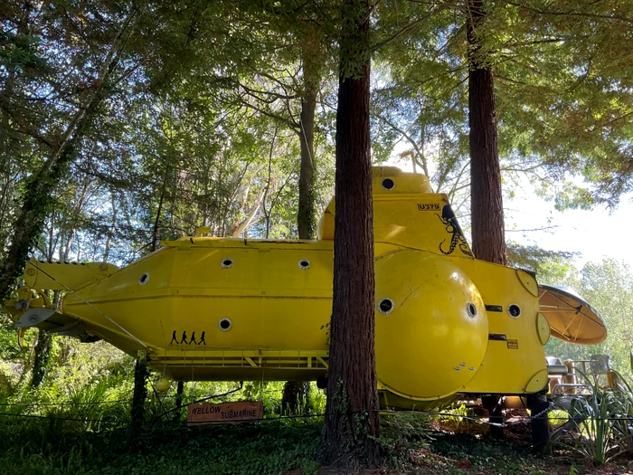 Submarinul se află într-o pădure (Foto: Profimedia)