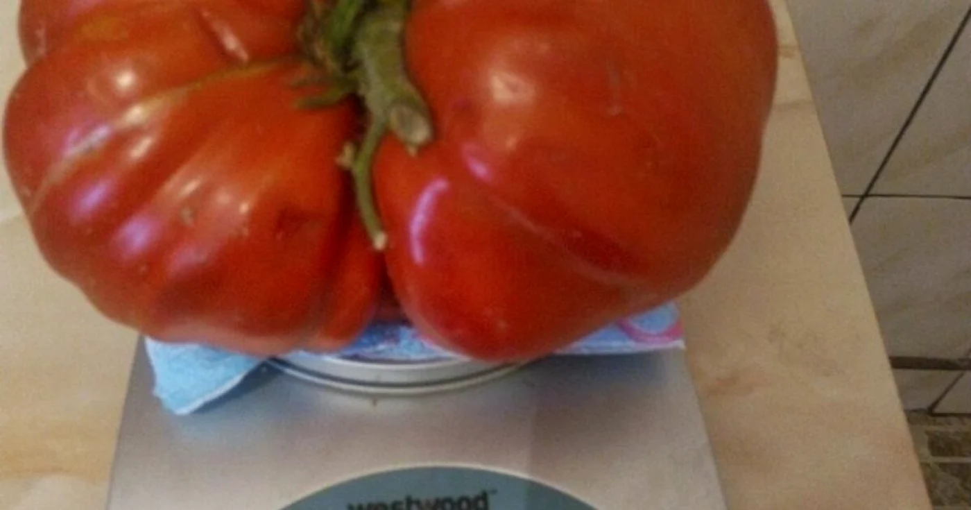 Roşia are peste 1,1 kilograme