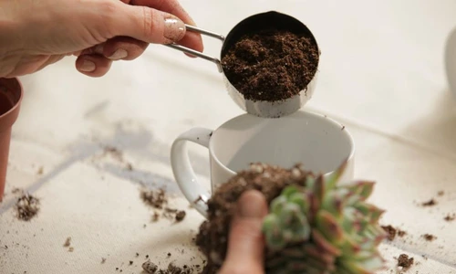 1 73284 original jpg jpeg