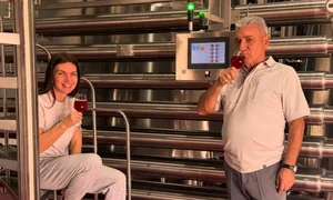Simona și Stere Halep Foto Instagram png