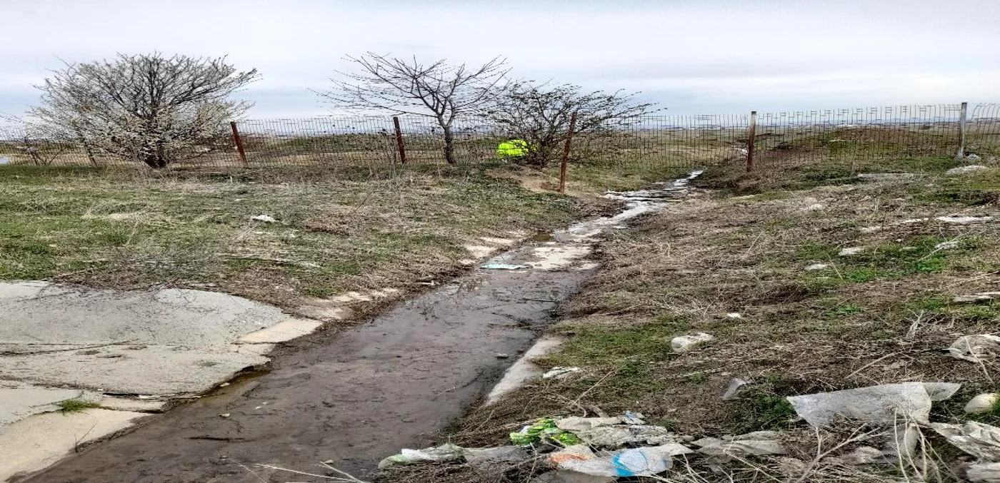 Poluarea a fost ignorată de autorități ani de zile FOTO Denis Grigorescu