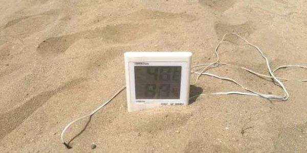 În Dăbuleni s-au înregistrat temperaturi de peste 47 de grade Celasius