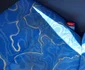 autobuze si microbuze degradate foto Protectia Consumatorilor Gorj (8) jpeg