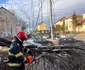 Copaci doborâți de vânt în Sibiu Foto ISU Sibiu