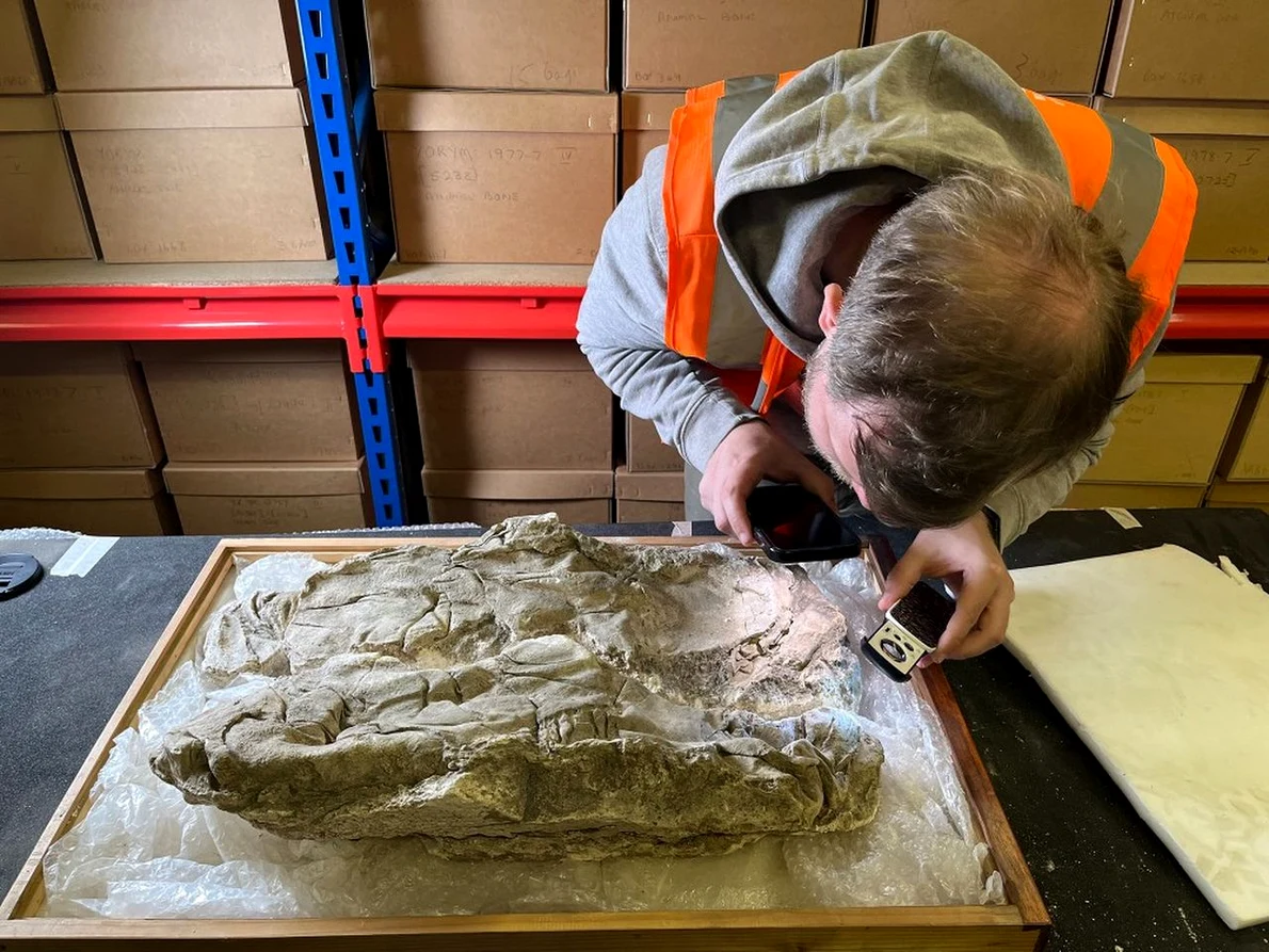 Bebelușii au fost înfășurați într-un material textil fin de purpură tiriană, împodobit cu fir de aur (© University of York)