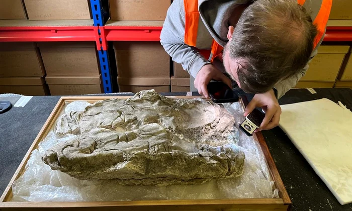 Bebelușii au fost înfășurați într-un material textil fin de purpură tiriană, împodobit cu fir de aur (© University of York)